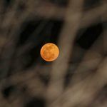 luna, astrología, oráculos,