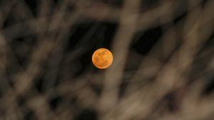 luna, astrología, oráculos,